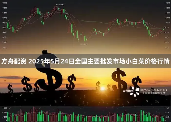 方舟配资 2025年5月24日全国主要批发市场小白菜价格行情
