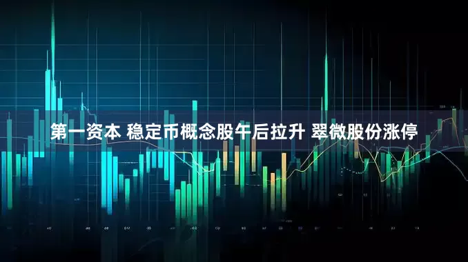 第一资本 稳定币概念股午后拉升 翠微股份涨停