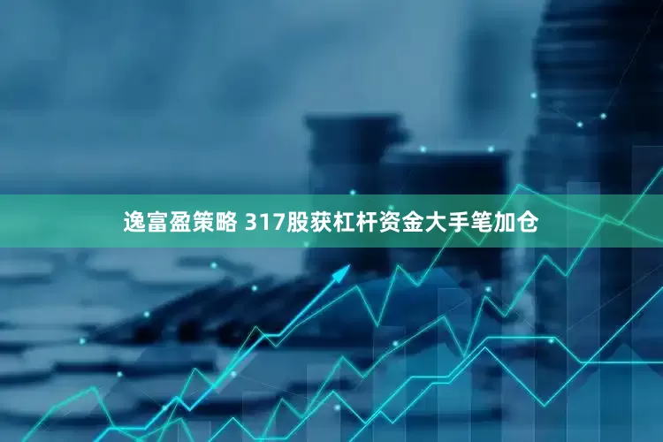 逸富盈策略 317股获杠杆资金大手笔加仓