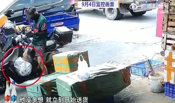 牛宝宝 骑手报警“配送的鳄鱼半路‘复活’，还抓烂我的鞋”！平台回应