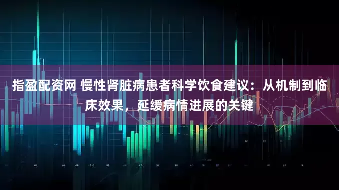 指盈配资网 慢性肾脏病患者科学饮食建议：从机制到临床效果，延缓病情进展的关键