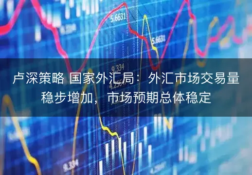 卢深策略 国家外汇局：外汇市场交易量稳步增加，市场预期总体稳定